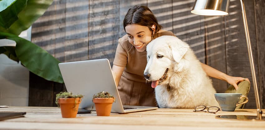 woman working on computer next to her dog
