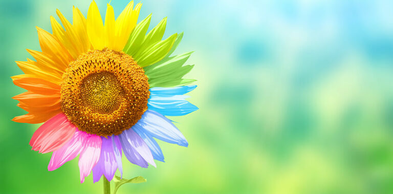 How to Answer "What Makes You Unique?" In a Job Interview | Job-Hunt